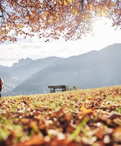 Wandern im Herbst