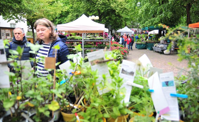 Alla fiera delle idee di giardino