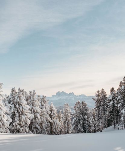 villanderer-alm-c-tobias-kaser-photography-15