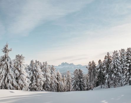 villanderer-alm-c-tobias-kaser-photography-15