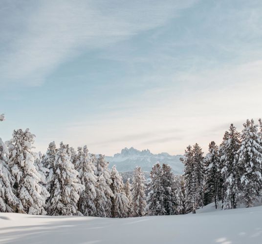 villanderer-alm-c-tobias-kaser-photography-15