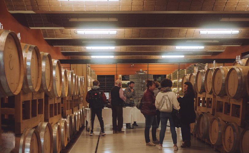 Giornata delle cantine aperte