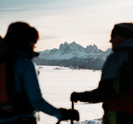 Due persone si godono il panorama invernale