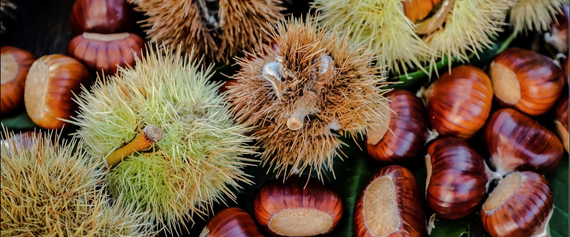 Castagne con e senza il gusco