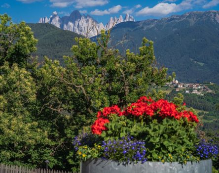 Blick auf die Berge im Sommer