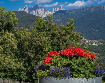 The mountains in summer