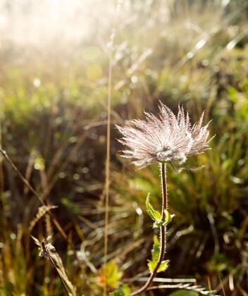 tv-sommer-063-mg-6562-bearbeitet