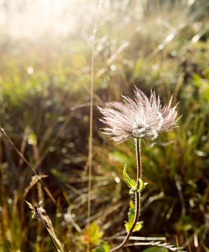 tv-sommer-063-mg-6562-bearbeitet