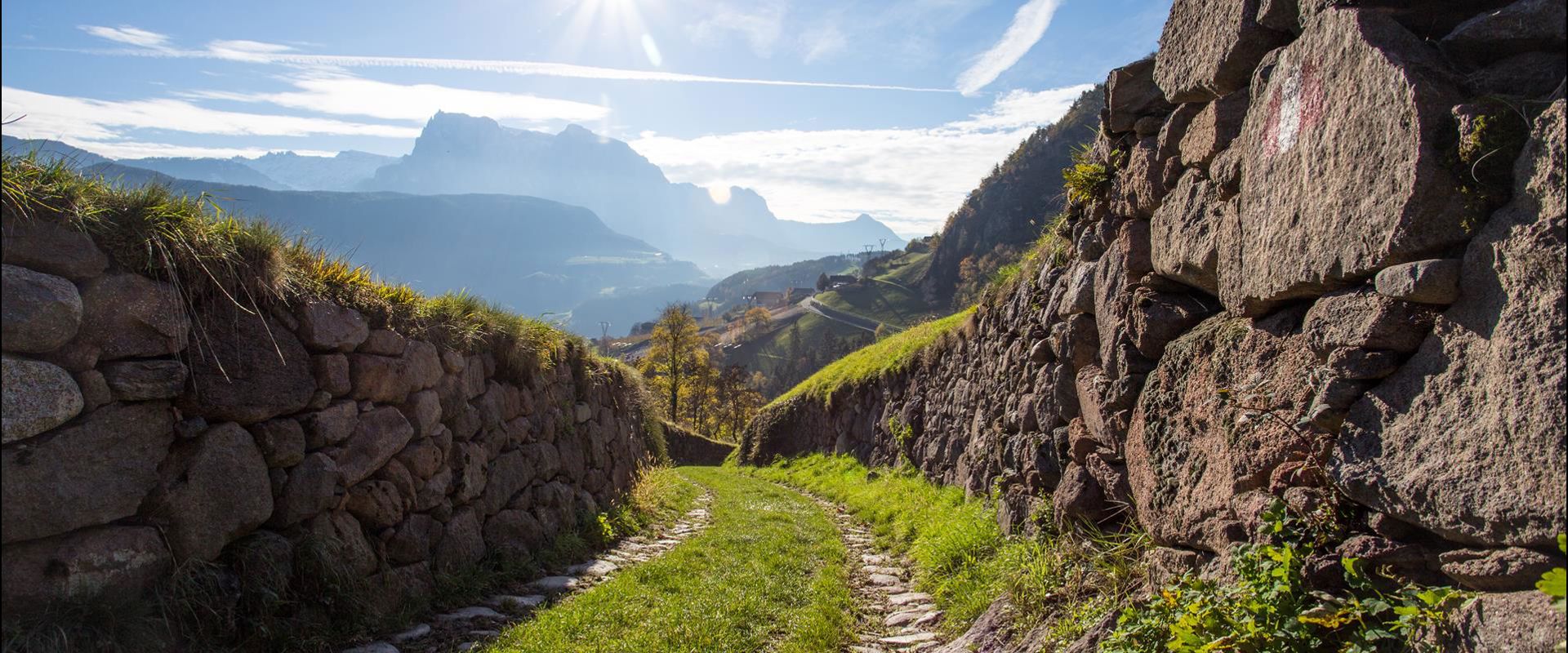 A hiking path in summer