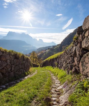 A hiking path in summer