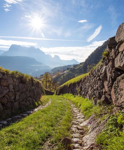 A hiking path in summer