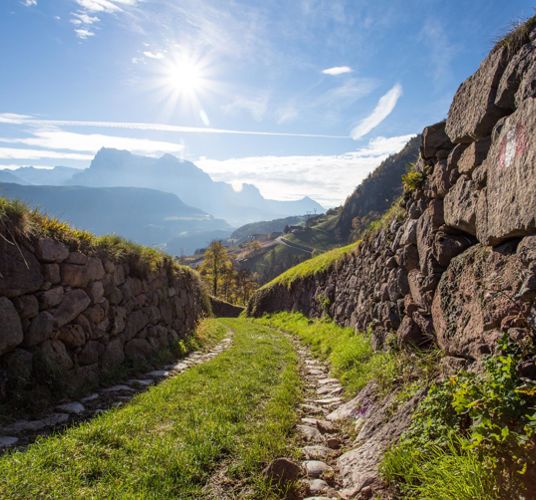 A hiking path in summer