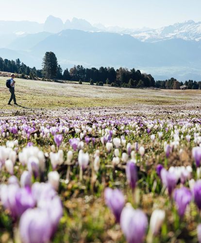 Frühling_(c) Thomas-Rötting