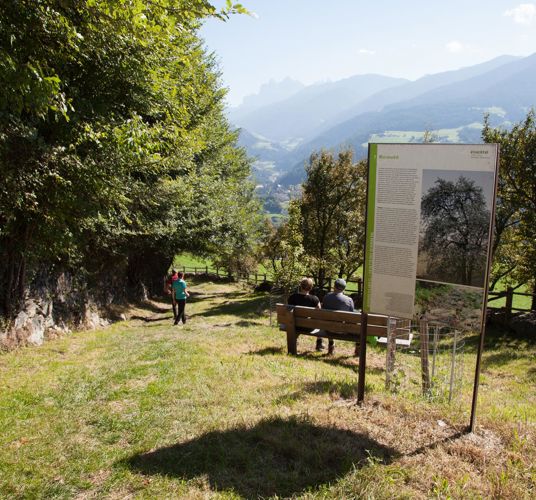 Auf dem Birmehlweg