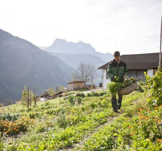 Harald Gasser bei der Arbeit