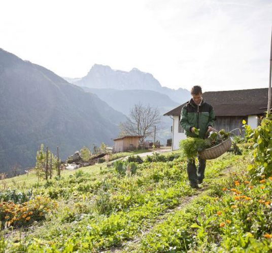 Harald Gasser al lavoro
