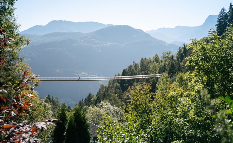 Die Hängebrücke im Sommer