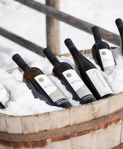 Il vino al fresco