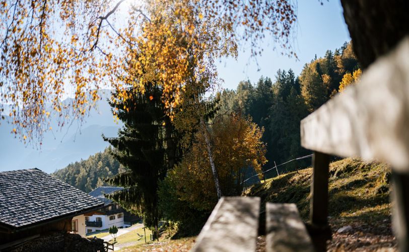 nachhaltigkeit-klausen-4