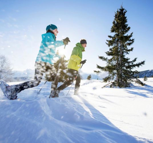 Two people on a snowshoe hike