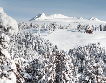 The Villanders mountain pasture in winter