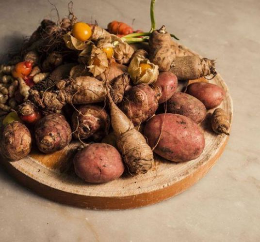 Vegetables from the Aspingerhof farm