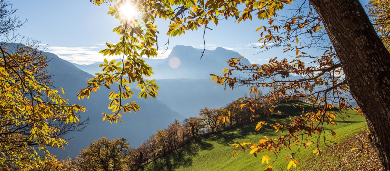 Il Sentiero del Castagno in estate