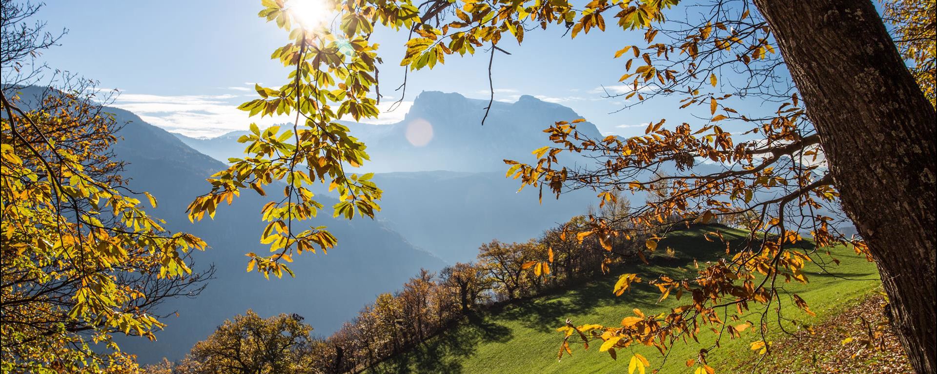 Il Sentiero del Castagno in estate