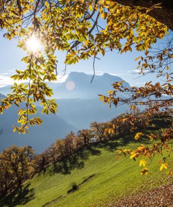 Der Keschtnweg im Sommer