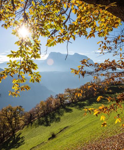 Il Sentiero del Castagno in estate